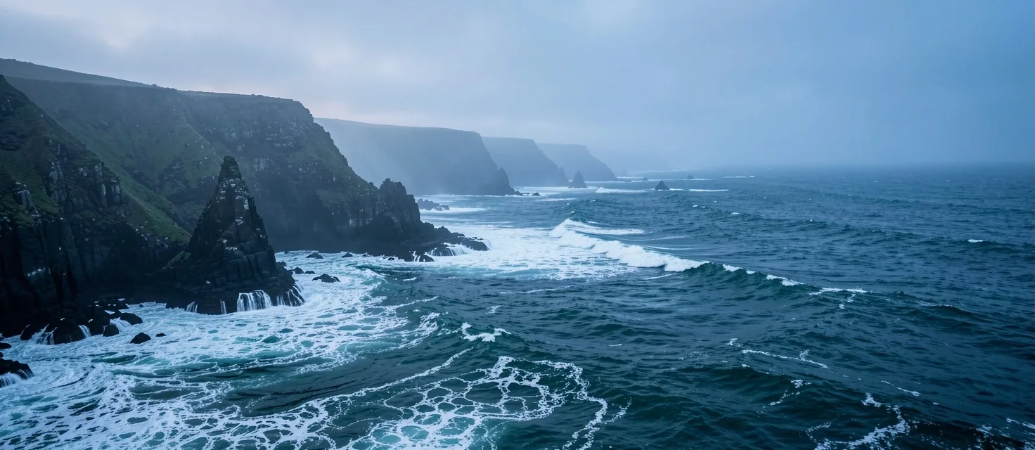 Dunedin Coastline